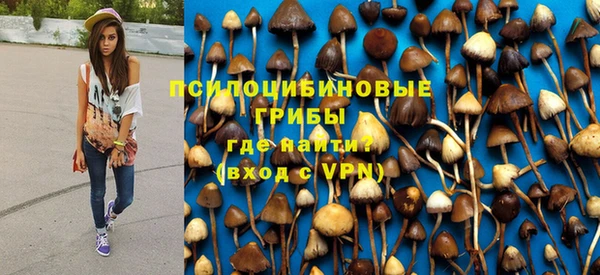 прущая мука Армянск