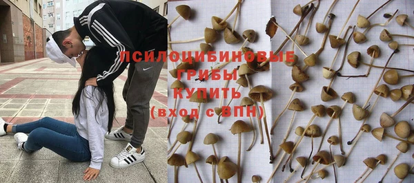 прущая мука Армянск