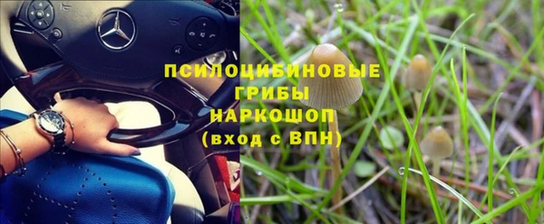прущая мука Армянск